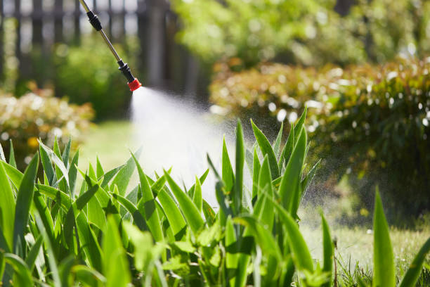 24/7 Emergency Wasp Removal experts in Miller, SD