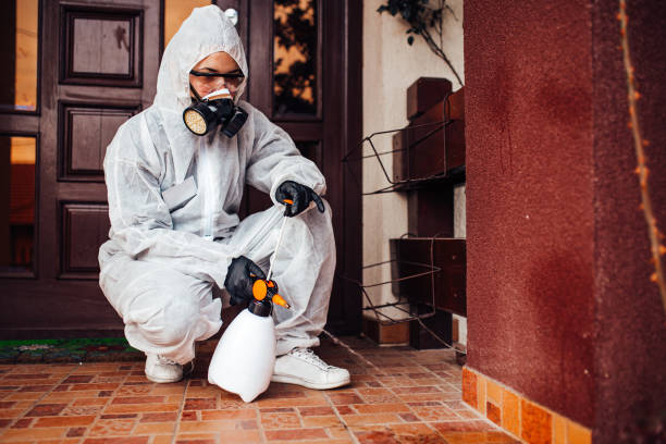 Reliable Wasp Removal contractor in Miller, SD by Show Me Pest Control